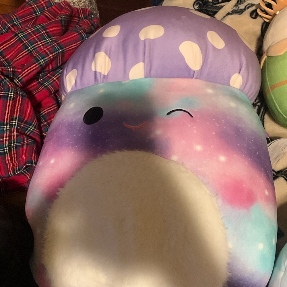 HUGE Mushroom Squishmallow bundle NWT, almost every mushroom squishmallow - Picture 6 of 11